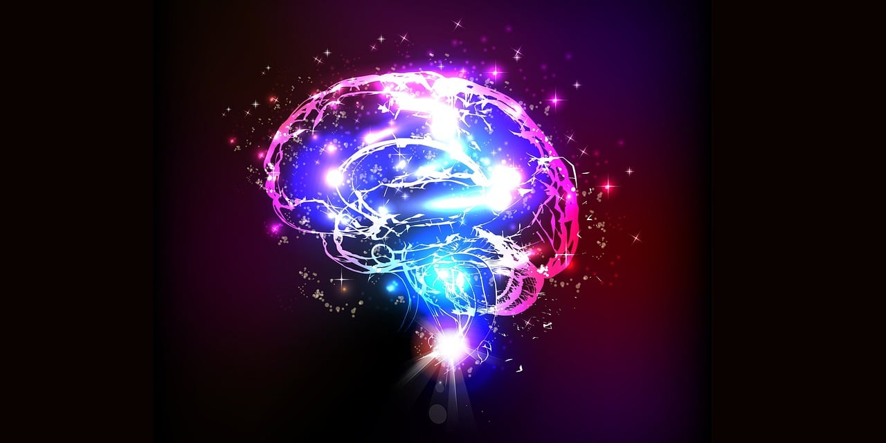 cerveau & alcool